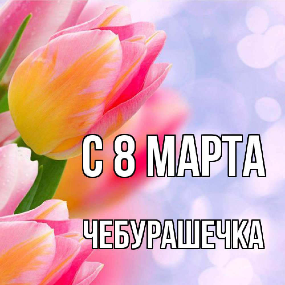 Открытка на каждый день с именем, Чебурашечка C 8 МАРТА тюльпаны 2 Прикольная открытка с пожеланием онлайн скачать бесплатно 