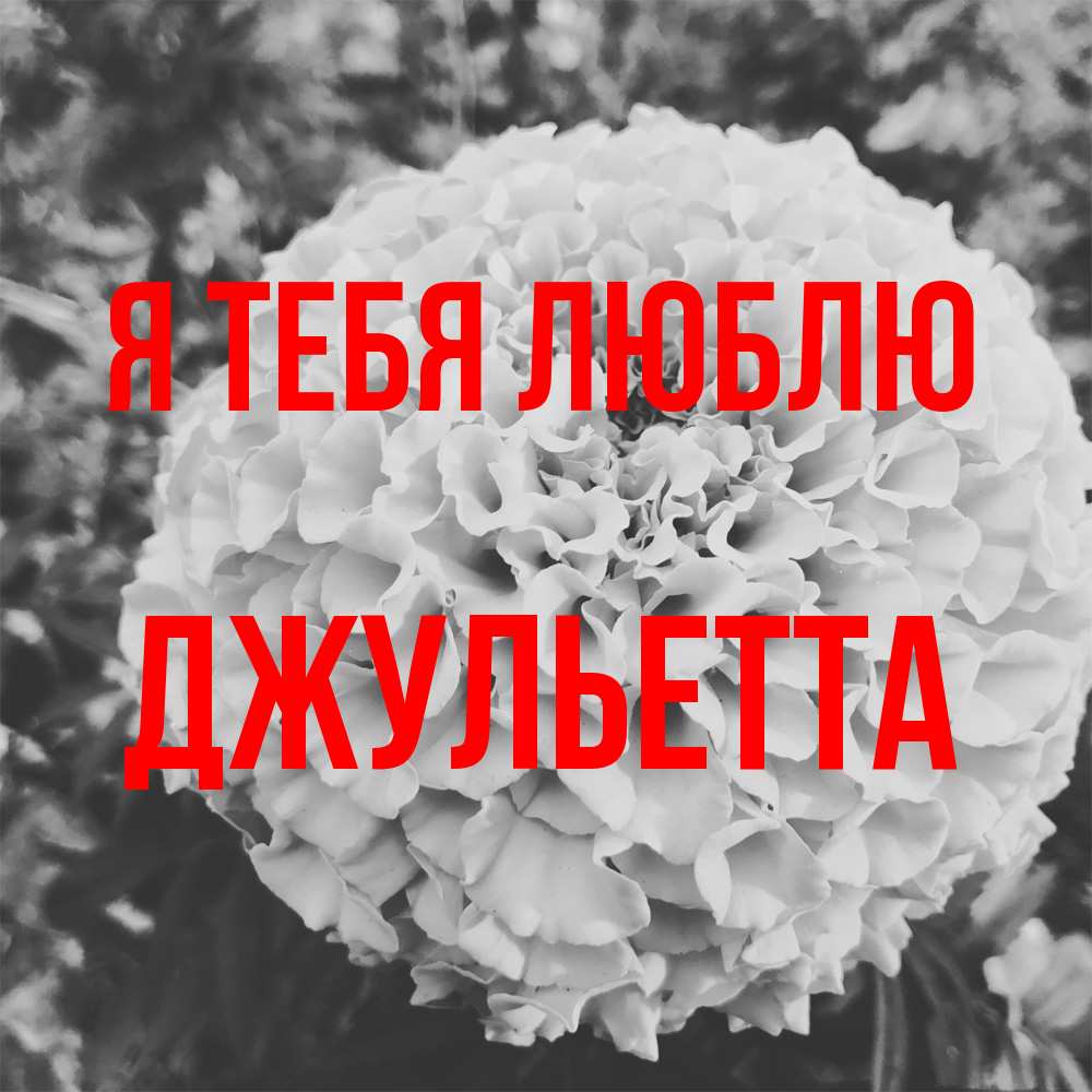 Открытка на каждый день с именем, Джульетта Я тебя люблю подпись Прикольная открытка с пожеланием онлайн скачать бесплатно 