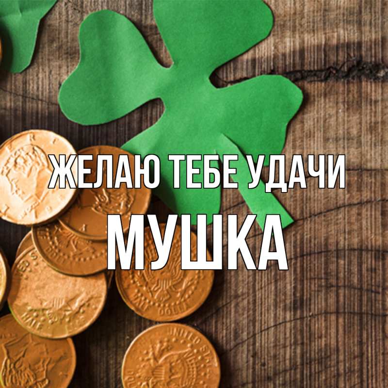 Картинка Желаю тебе удачи, мушка