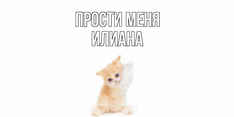 Картинка Прости меня, Илиана