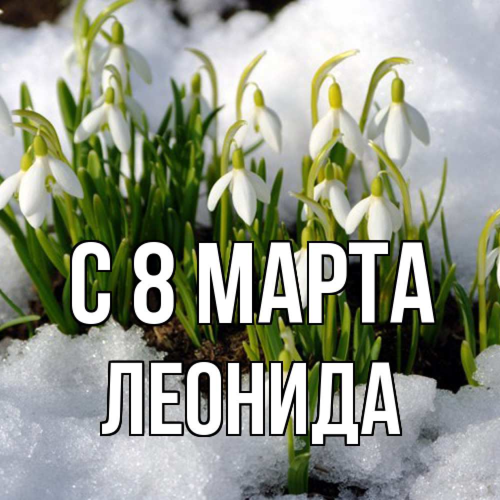 Открытка на каждый день с именем, Леонида C 8 МАРТА цветы весенние Прикольная открытка с пожеланием онлайн скачать бесплатно 