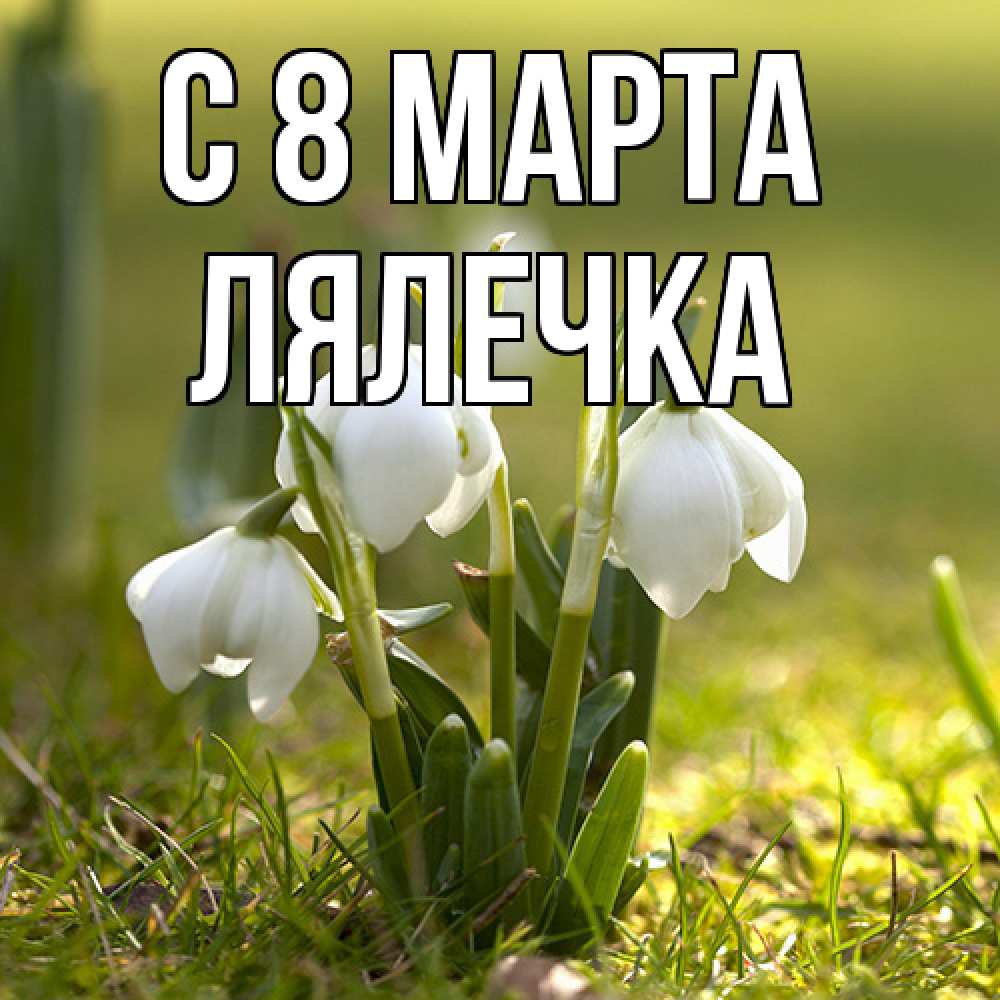 Открытка на каждый день с именем, лялечка C 8 МАРТА ранние цветы 2 Прикольная открытка с пожеланием онлайн скачать бесплатно 