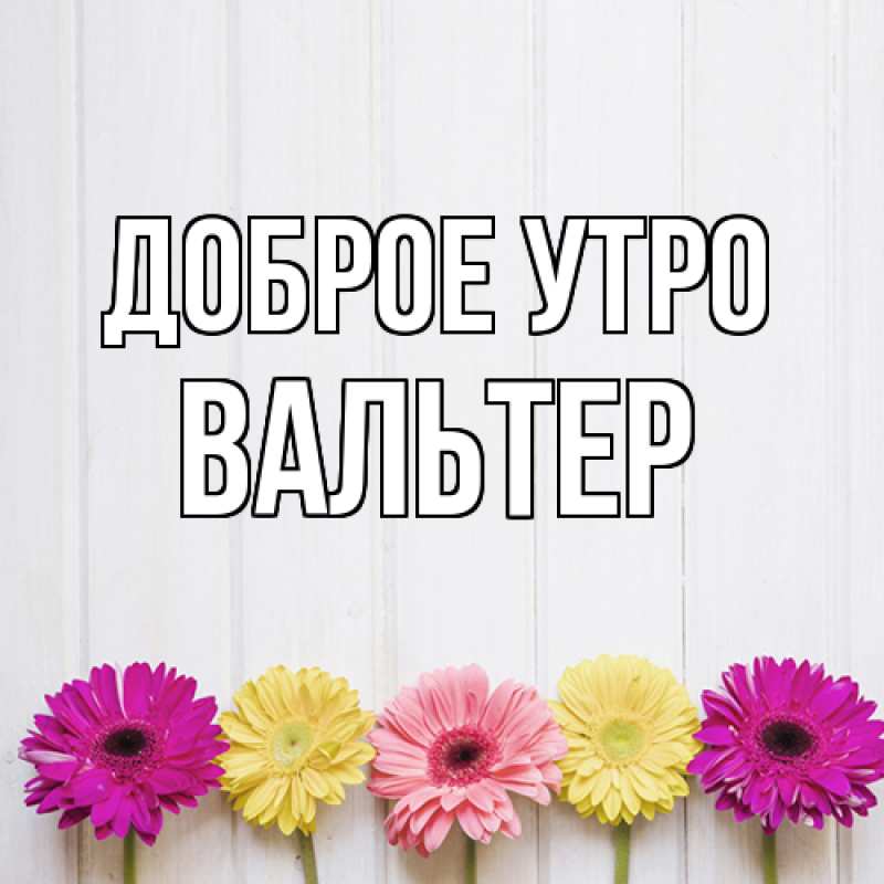 Картинка Доброе утро, Вальтер