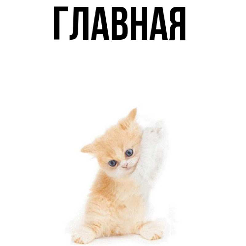 Картинка  с именем , настя