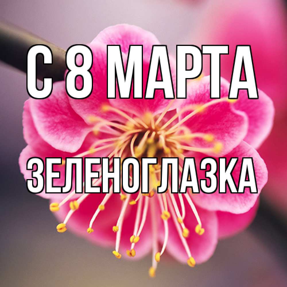 Открытка на каждый день с именем, зеленоглазка C 8 МАРТА цветы Прикольная открытка с пожеланием онлайн скачать бесплатно 