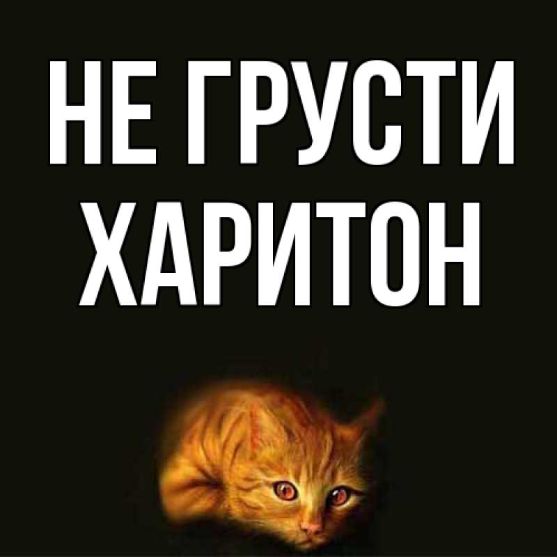 Картинка Не грусти, Харитон