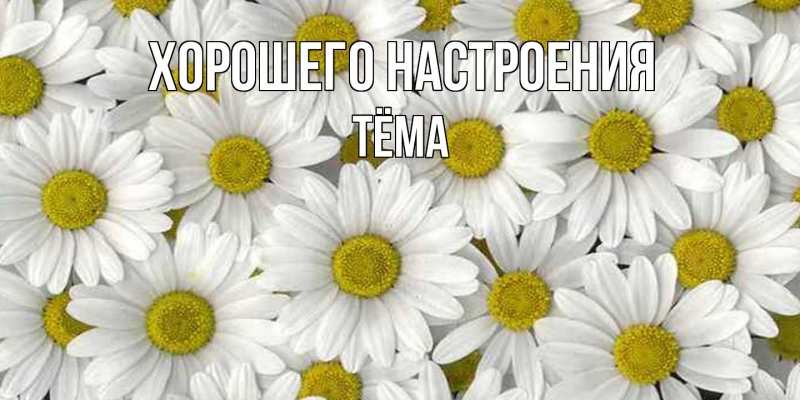 Картинка Хорошего настроения, Тёма