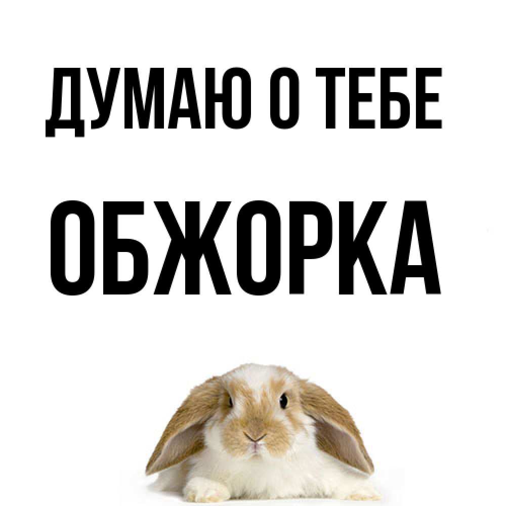 Открытка на каждый день с именем, Обжорка Думаю о тебе подписать своими руками онлайн Прикольная открытка с пожеланием онлайн скачать бесплатно 