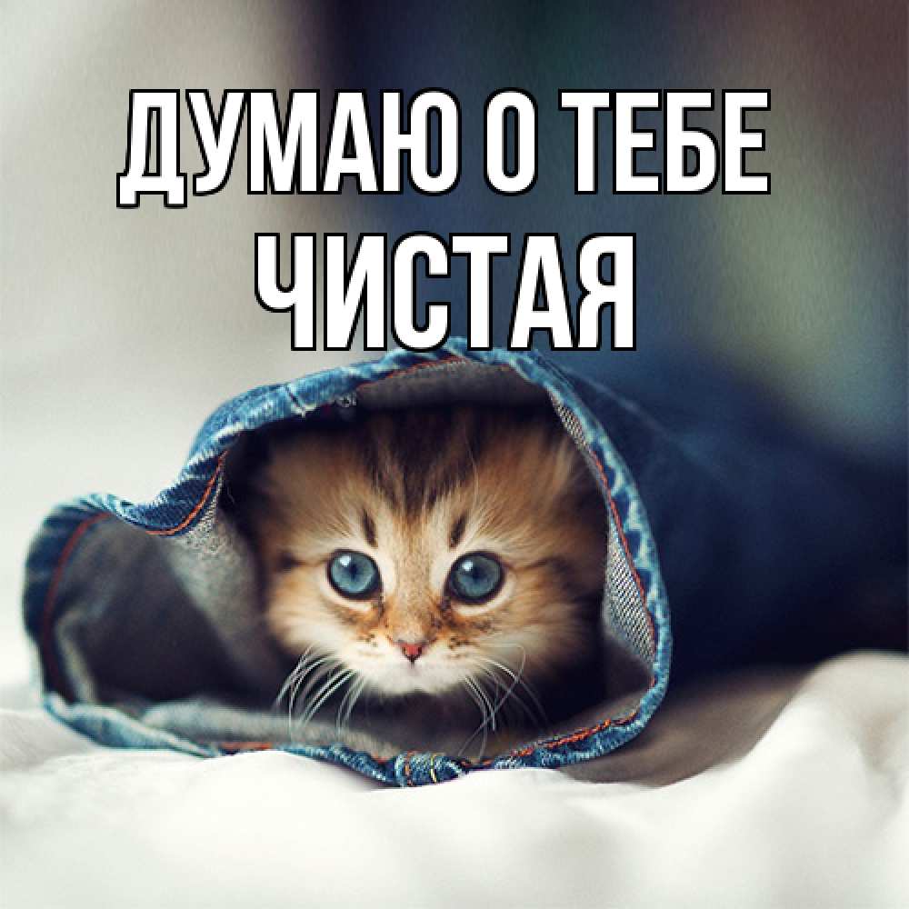 Открытка на каждый день с именем, Чистая Думаю о тебе мне без тебя плохо Прикольная открытка с пожеланием онлайн скачать бесплатно 