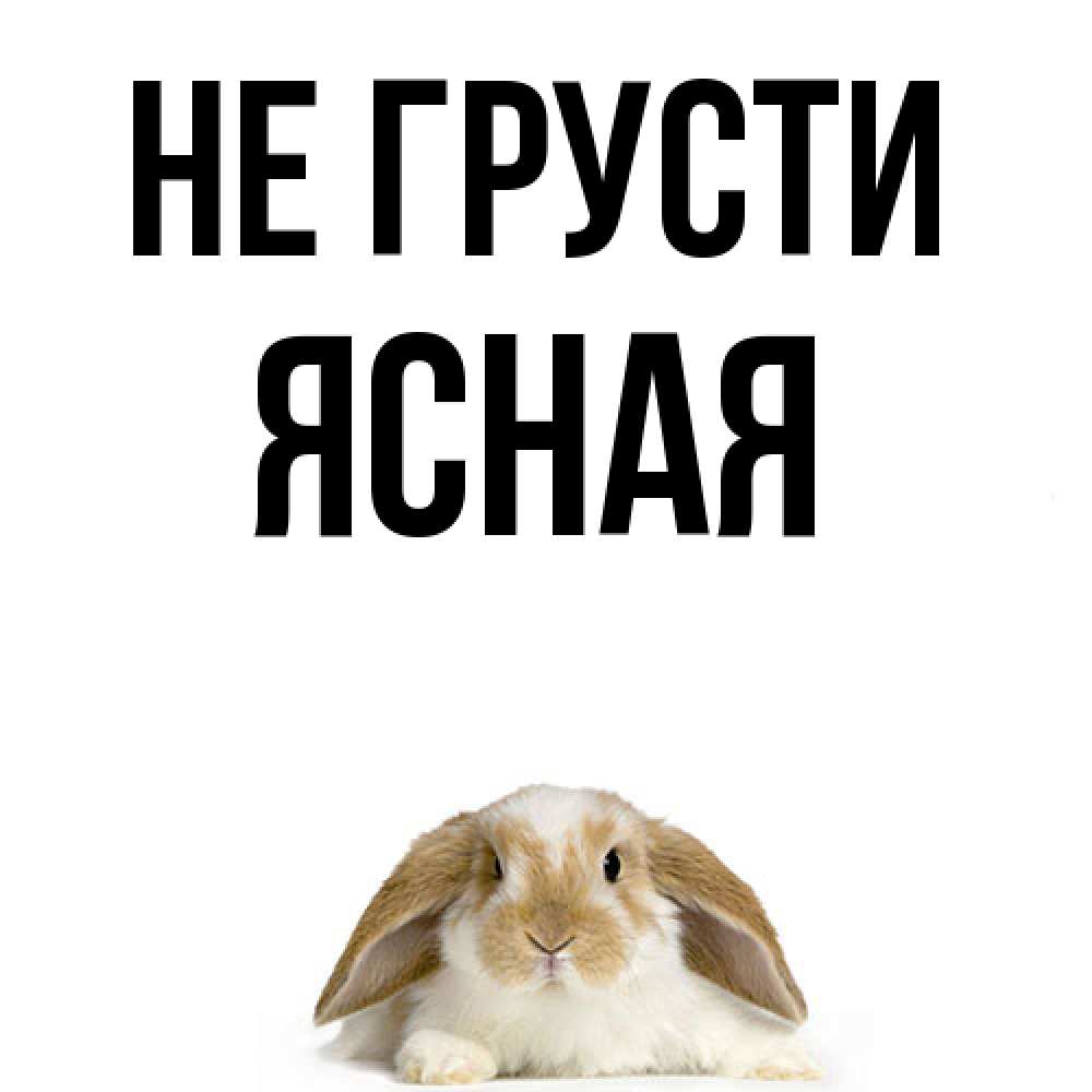 Открытка на каждый день с именем, Ясная Не грусти коричнево белый заяц с большими ушками Прикольная открытка с пожеланием онлайн скачать бесплатно 