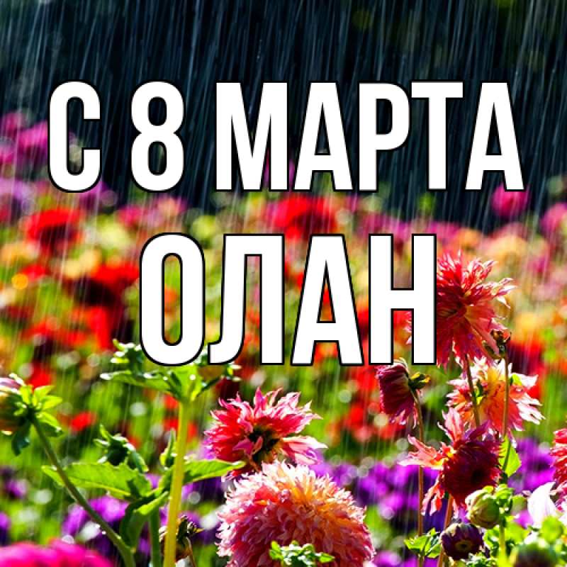 Картинка C 8 МАРТА, Олан