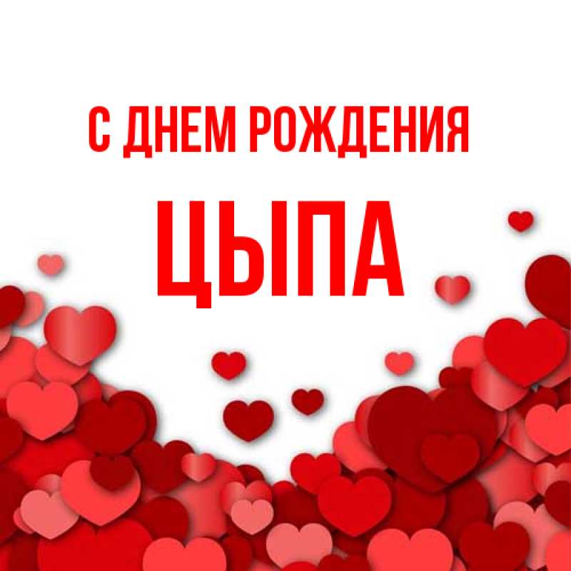 Картинка С днем рождения, Цыпа