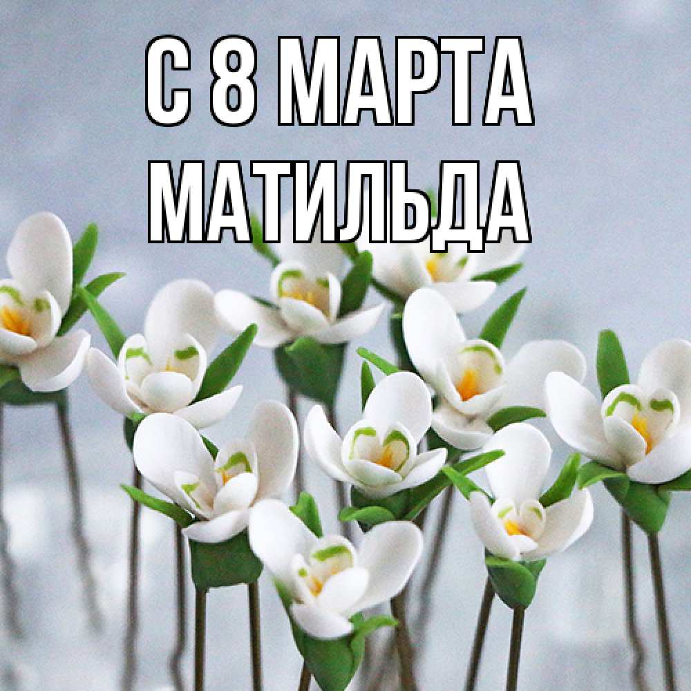 Открытка на каждый день с именем, Матильда C 8 МАРТА весенние цветы Прикольная открытка с пожеланием онлайн скачать бесплатно 