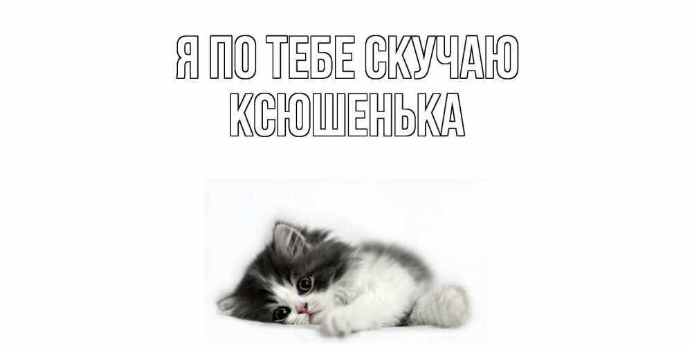 Открытка на каждый день с именем, Ксюшенька Я по тебе скучаю кот, скука Прикольная открытка с пожеланием онлайн скачать бесплатно 