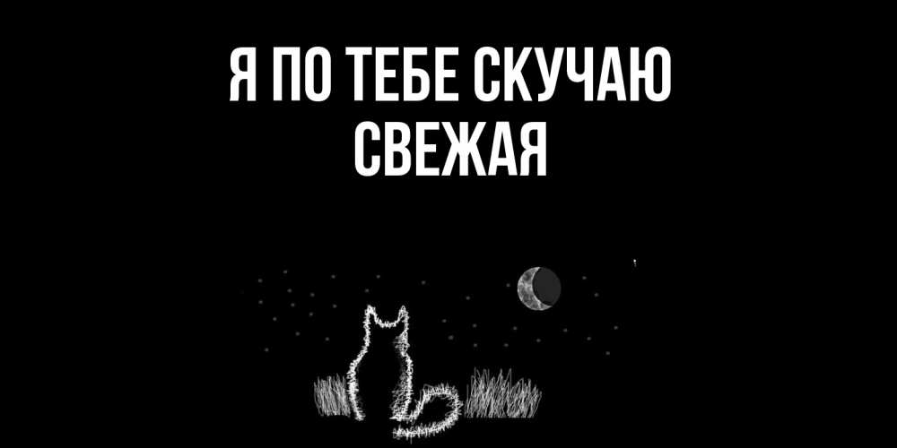 Открытка на каждый день с именем, Свежая Я по тебе скучаю кот Прикольная открытка с пожеланием онлайн скачать бесплатно 