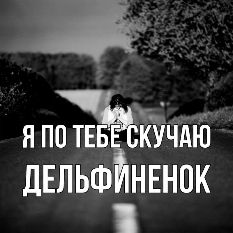 Картинка Я по тебе скучаю, дельфиненок