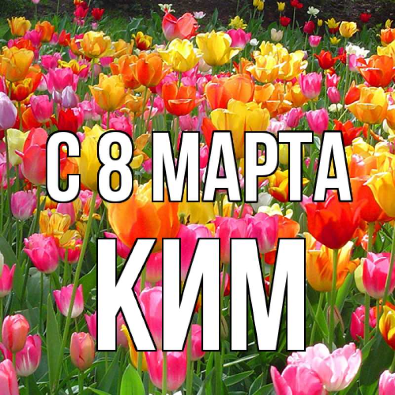 Картинка C 8 МАРТА, Ким
