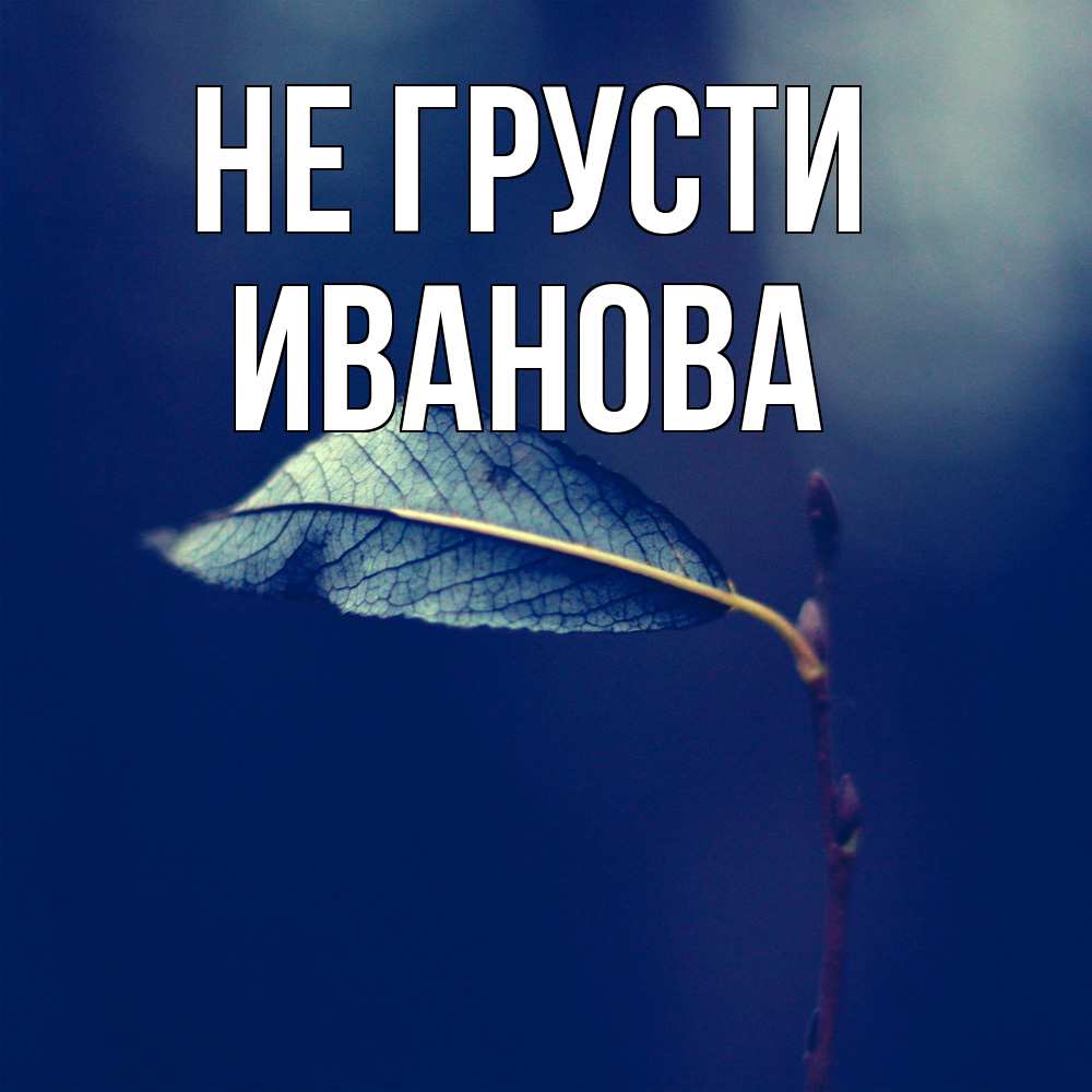 Открытка на каждый день с именем, Иванова Не грусти растение Прикольная открытка с пожеланием онлайн скачать бесплатно 
