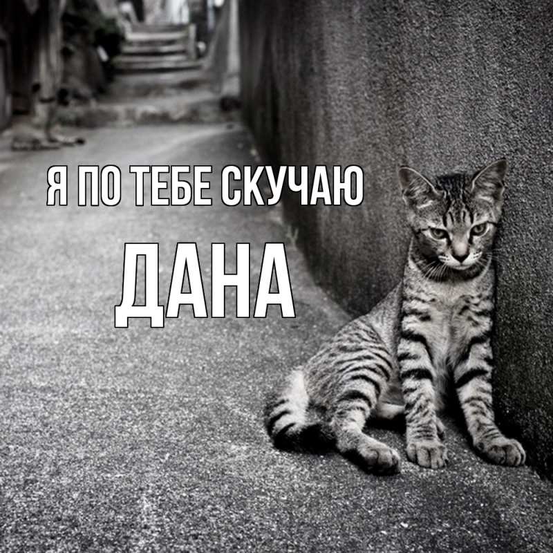 Картинка Я по тебе скучаю, Дана