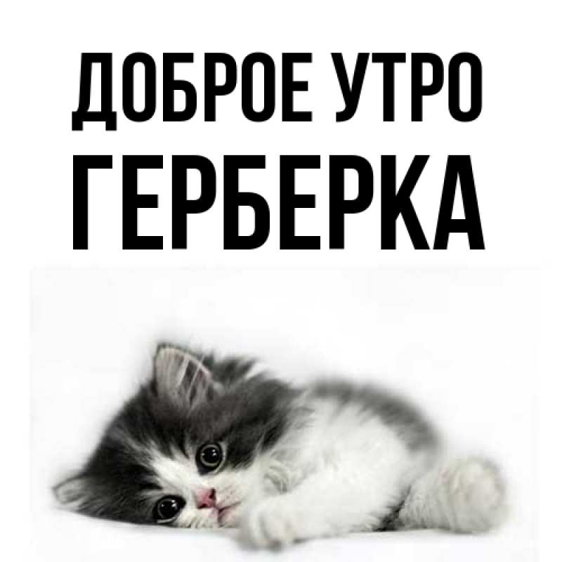 Картинка Доброе утро, Герберка