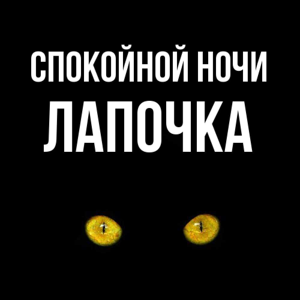 Открытка на каждый день с именем, лапочка Спокойной ночи сладких снов бесстрашный мой дружочек Прикольная открытка с пожеланием онлайн скачать бесплатно 