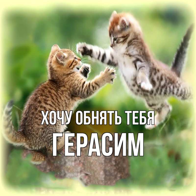 Картинка Хочу обнять тебя, Герасим