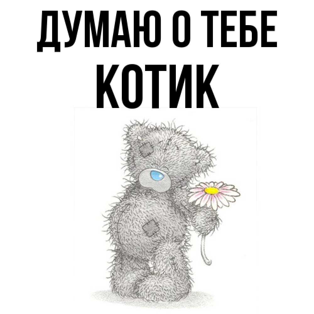 Открытка на каждый день с именем, Котик Думаю о тебе мысли только о тебе Прикольная открытка с пожеланием онлайн скачать бесплатно 