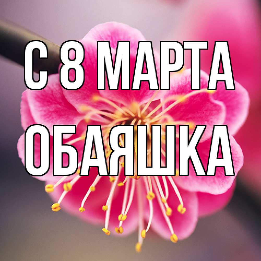 Открытка на каждый день с именем, обаяшка C 8 МАРТА цветы Прикольная открытка с пожеланием онлайн скачать бесплатно 