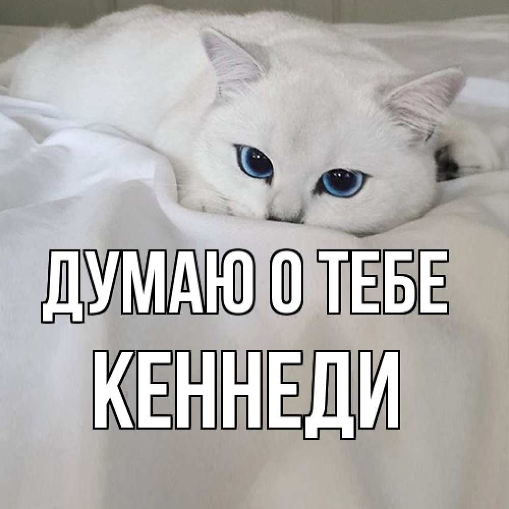 Открытка на каждый день с именем, Кеннеди Думаю о тебе я очень по тебе скучаю и тоскую Прикольная открытка с пожеланием онлайн скачать бесплатно 