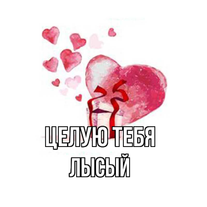 Картинка Целую тебя, Лысый