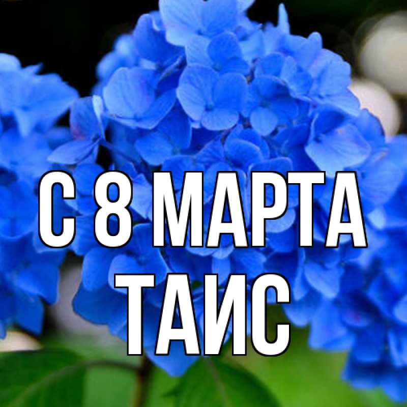 Картинка C 8 МАРТА, Таис