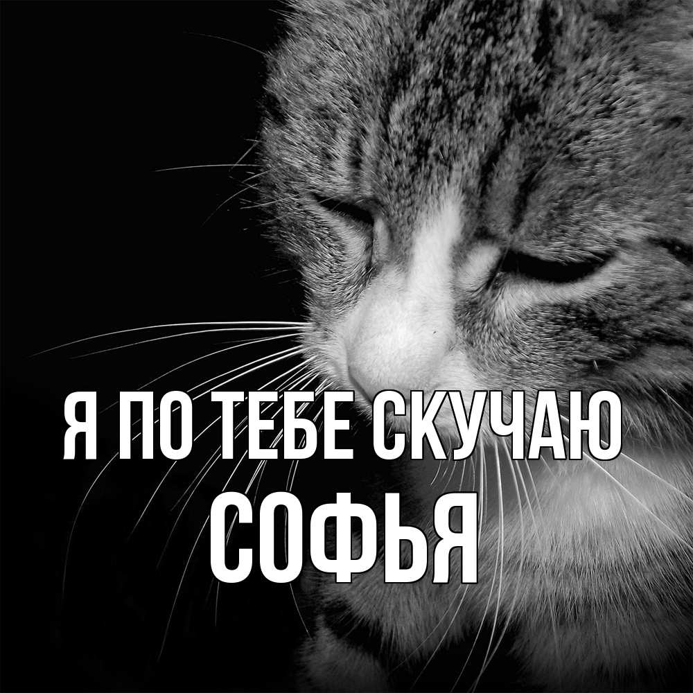 Открытка на каждый день с именем, Софья Я по тебе скучаю мне скучно Прикольная открытка с пожеланием онлайн скачать бесплатно 