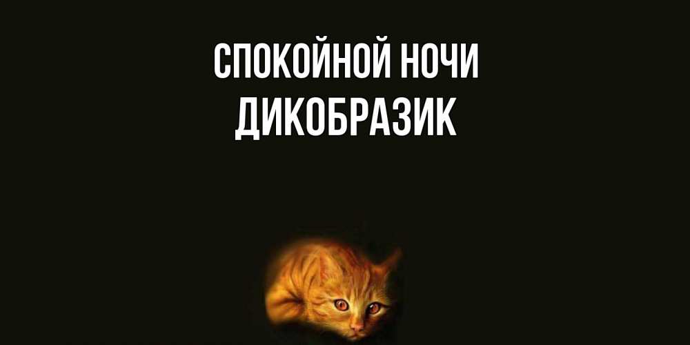 Открытка на каждый день с именем, дикобразик Спокойной ночи кот Прикольная открытка с пожеланием онлайн скачать бесплатно 