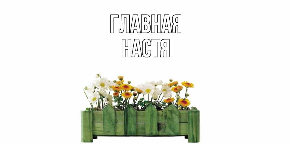 Открытка на каждый день с именем, настя Главная цветы Прикольная открытка с пожеланием онлайн скачать бесплатно 