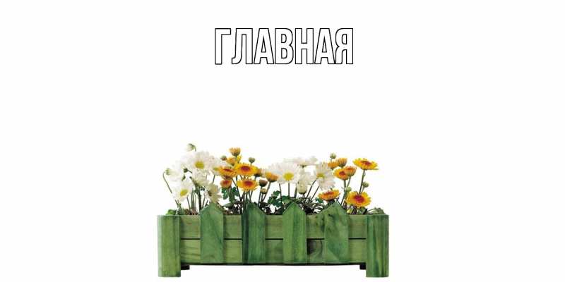 Картинка  с именем , настя