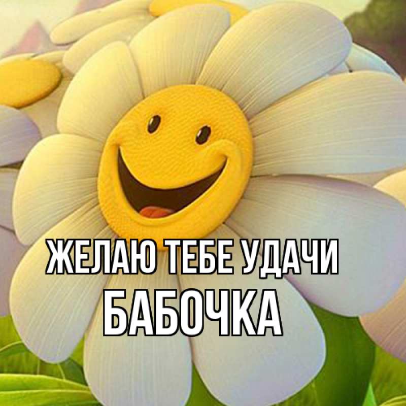 Картинка Желаю тебе удачи, Бабочка