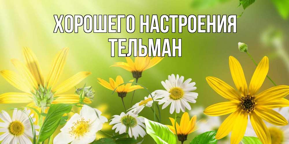 Открытка на каждый день с именем, Тельман Хорошего настроения цветы Прикольная открытка с пожеланием онлайн скачать бесплатно 