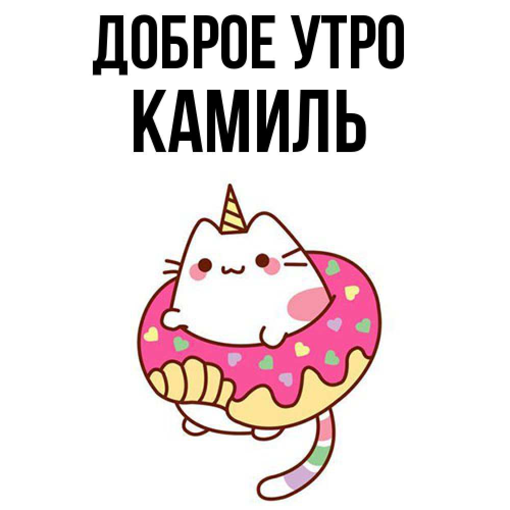 Открытка на каждый день с именем, Камиль Доброе утро кот в бублике Прикольная открытка с пожеланием онлайн скачать бесплатно 