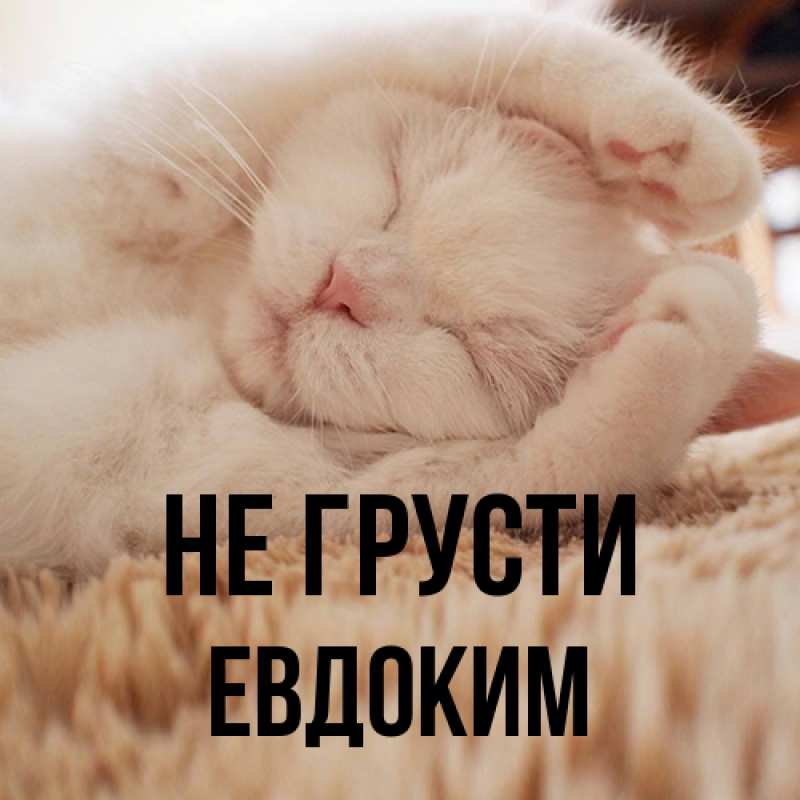 Картинка Не грусти, Евдоким