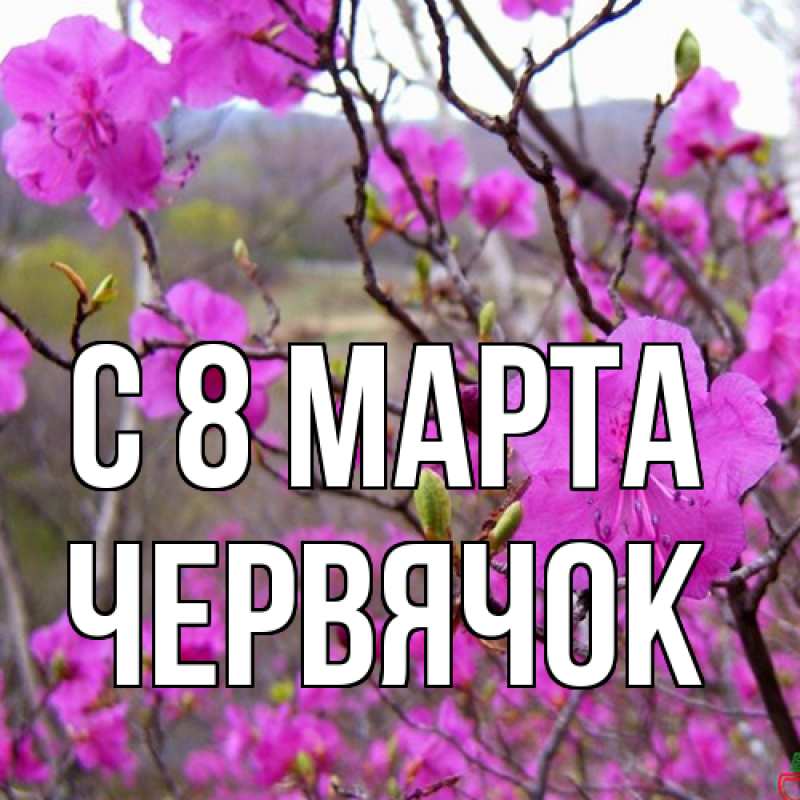 Картинка C 8 МАРТА, Червячок