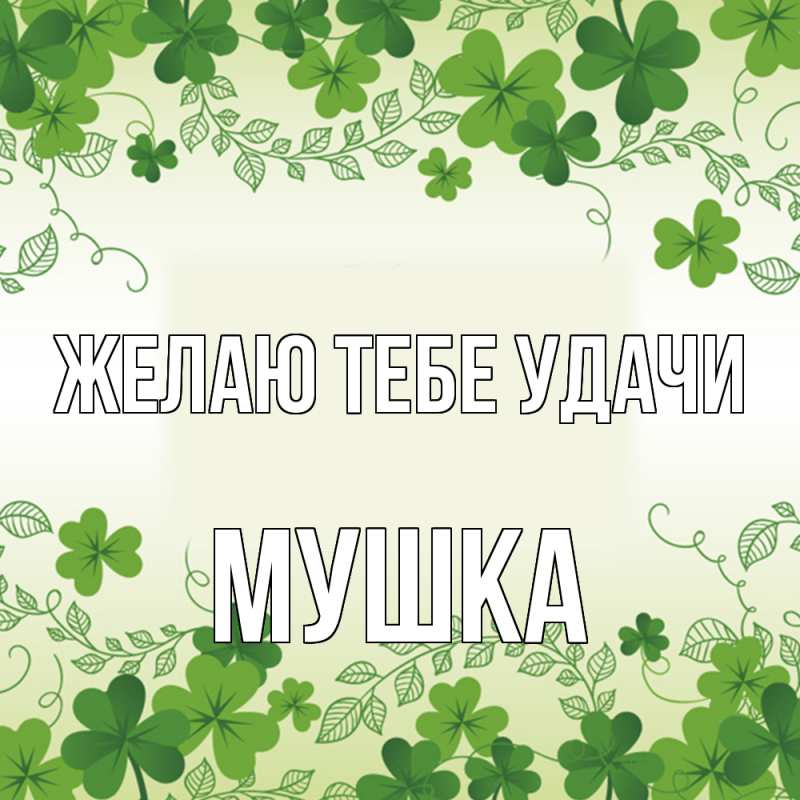 Картинка Желаю тебе удачи, мушка