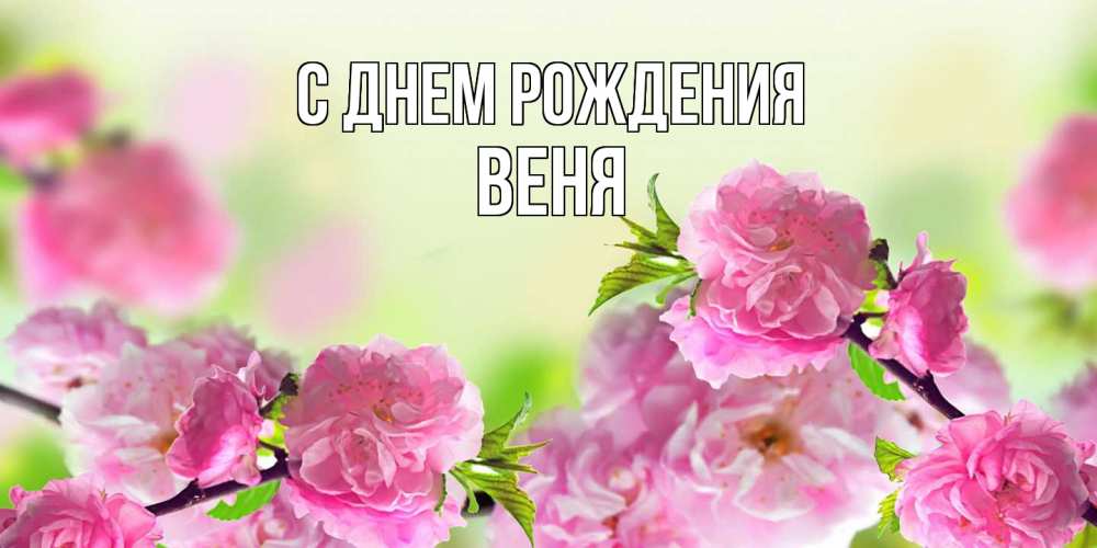 Открытка на каждый день с именем, Веня С днем рождения веточки с цветками Прикольная открытка с пожеланием онлайн скачать бесплатно 