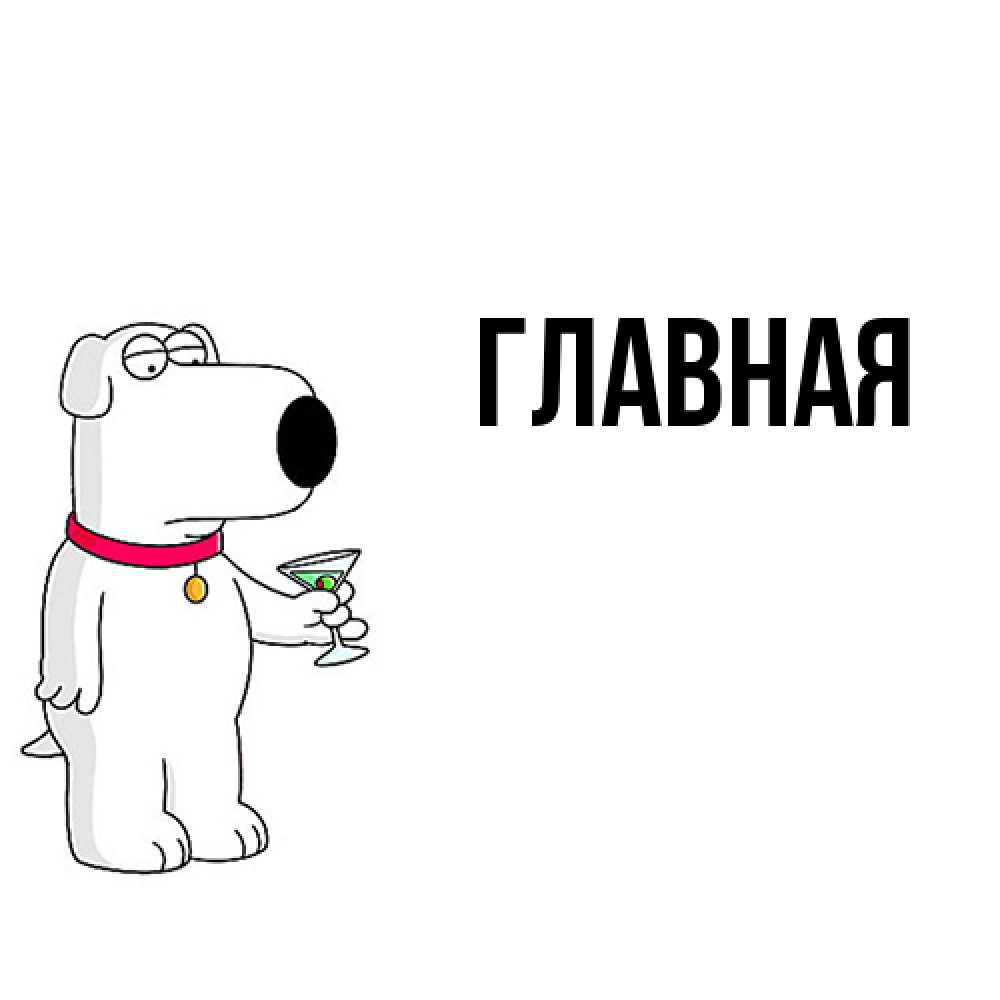 Открытка на каждый день с именем, настя Главная песик с оливками Прикольная открытка с пожеланием онлайн скачать бесплатно 