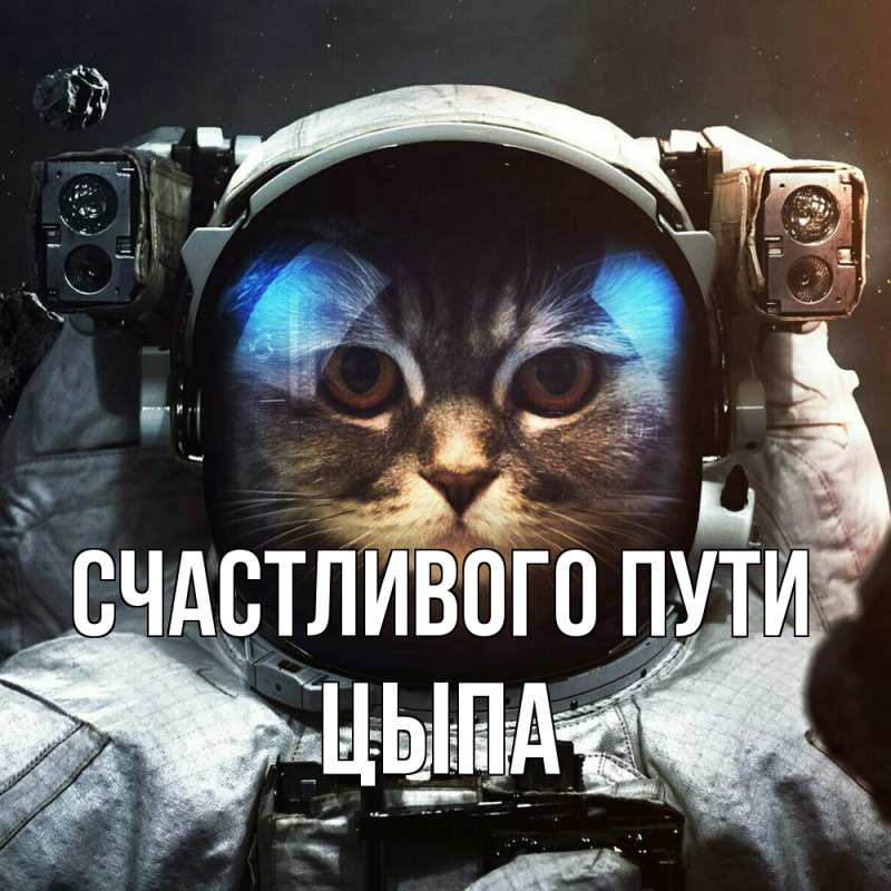 Картинка Счастливого пути, Цыпа