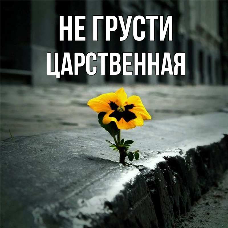 Картинка Не грусти, Цаpственная