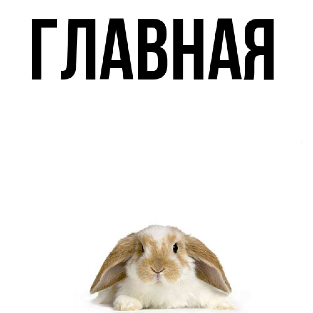 Открытка на каждый день с именем, настя Главная подписать своими руками онлайн Прикольная открытка с пожеланием онлайн скачать бесплатно 