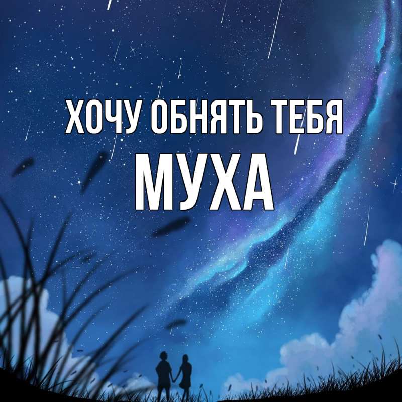 Картинка Хочу обнять тебя, Муха