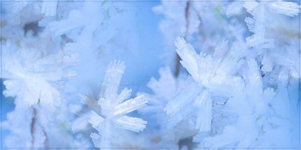 Открытка на каждый день с именем, Голубка Удачного дня открытка на зимний день Прикольная открытка с пожеланием онлайн скачать бесплатно 