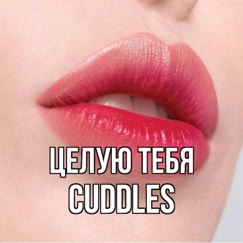 Картинка Целую тебя, Cuddles