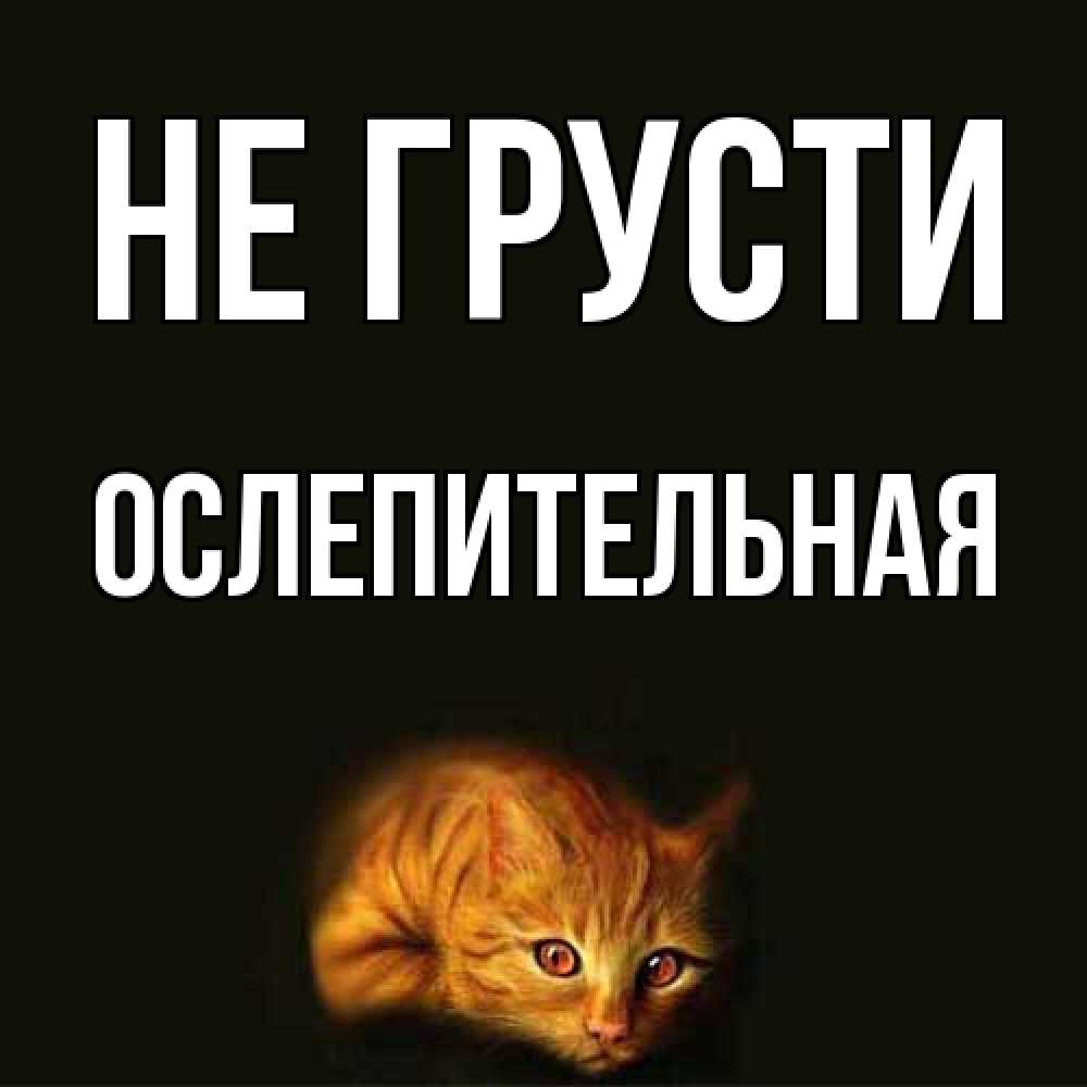 Открытка на каждый день с именем, Ослепительная Не грусти лежащий кот в темноте Прикольная открытка с пожеланием онлайн скачать бесплатно 